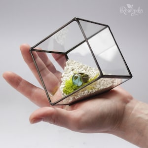 Succulent glass planter pot, Cube terrarium, Geometrical air plant container, Stained glass ring display box, Glass flower vase image 1