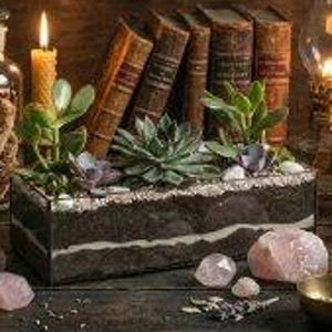 長方形のステンドグラスの多肉植物プランター、屋内ガーデンプラントポット、充填なしのガラスコンテナボックス