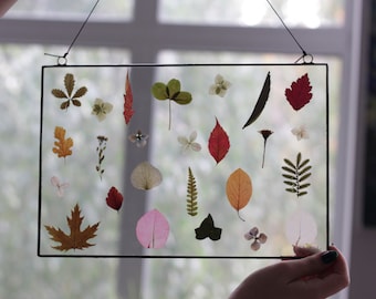 押し花の秋の葉の壁掛け、長方形のステンドグラスのフローティングフレーム、額入りの植物の壁アート