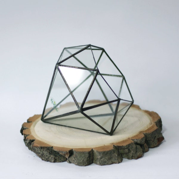 Terrario di vetro a forma di diamante, vaso geometrico succulento, mini terrario di muschio, portacandele scandinavo, vaso centrotavola
