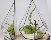 Set of 2 wall hanging planter boxes, geometric stained glass air plant succulent terrarium container, indoor garden florarium, plants pot
