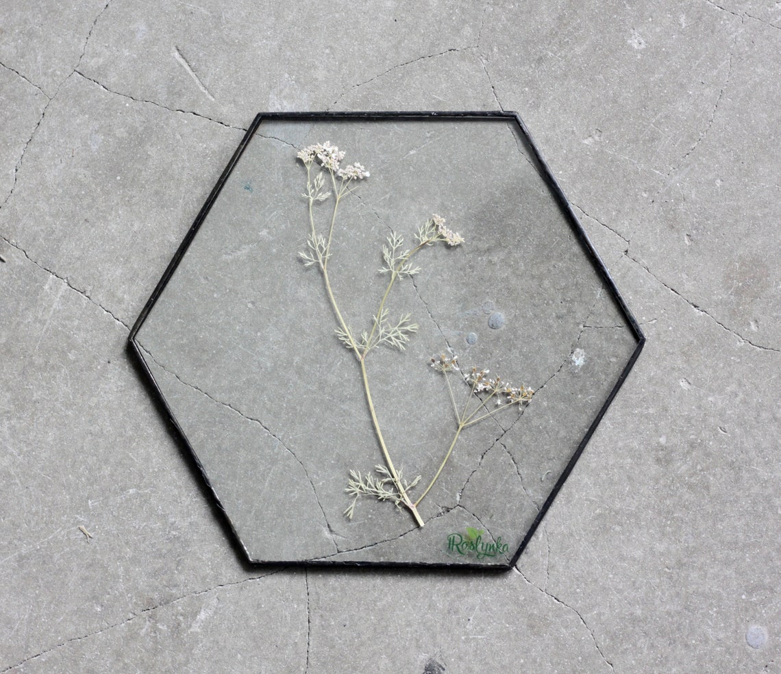 Gerahmte gepresste Pflanzen Glas und Holz Wohndekor floraler | Etsy