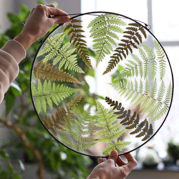 Pressed Fern plant in stained glass frame, Dried leaves wall hanging, Round floating panel, Framed botanical window art, Herbarium decor