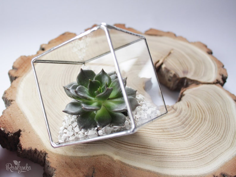 Succulent glass planter pot, Cube terrarium, Geometrical air plant container, Stained glass ring display box, Glass flower vase image 3