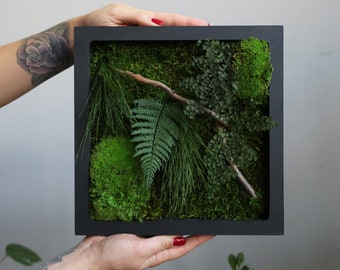 Preserved moss wall art