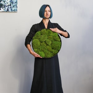 Framed preserved Moss, Round moss wall art, Green living plant home decor, Indoor garden wall hanging frame