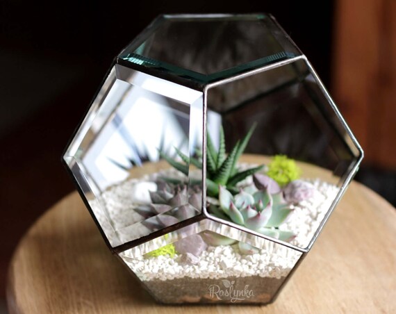 NEW FACET GLASS / Geometric Terrarium / Dodecahedron / Etsy
