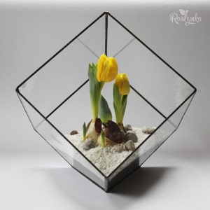 Cube glass terrarium, Geometric planter pot, Stained glass terrarium, Moss terrarium container image 1