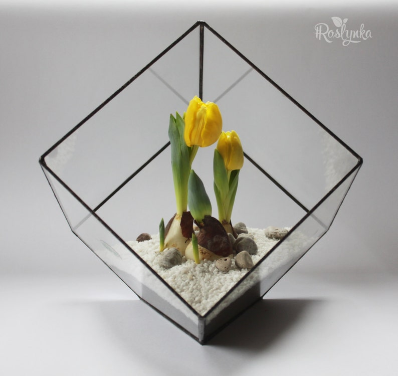 Cube glass terrarium, Geometric planter pot, Stained glass terrarium, Moss terrarium container image 1