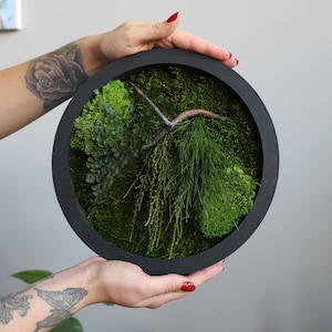 Round Moss Wall Art – Framed Preserved Moss and Driftwood Hanging, Nature-Inspired Home Decor