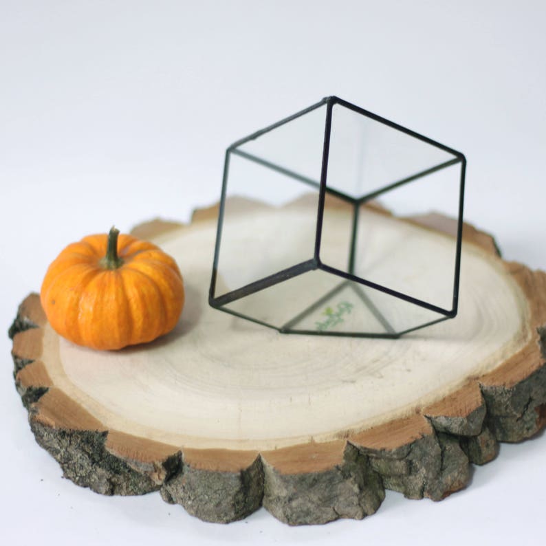 Succulent glass planter pot, Cube terrarium, Geometrical air plant container, Stained glass ring display box, Glass flower vase image 6