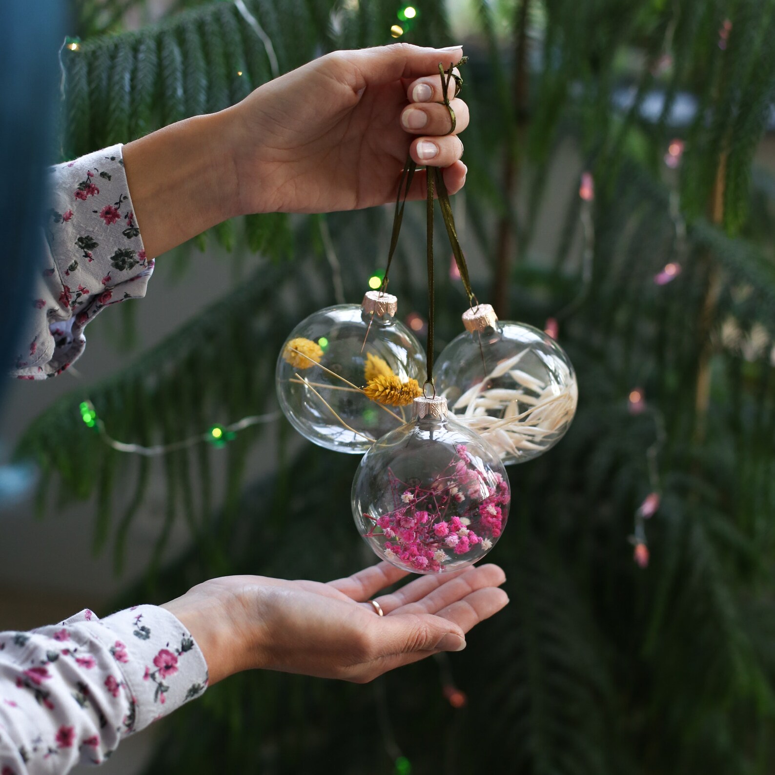 Set of Colorful Dried Flower in Glass Baubles. Christmas Balls Etsy
