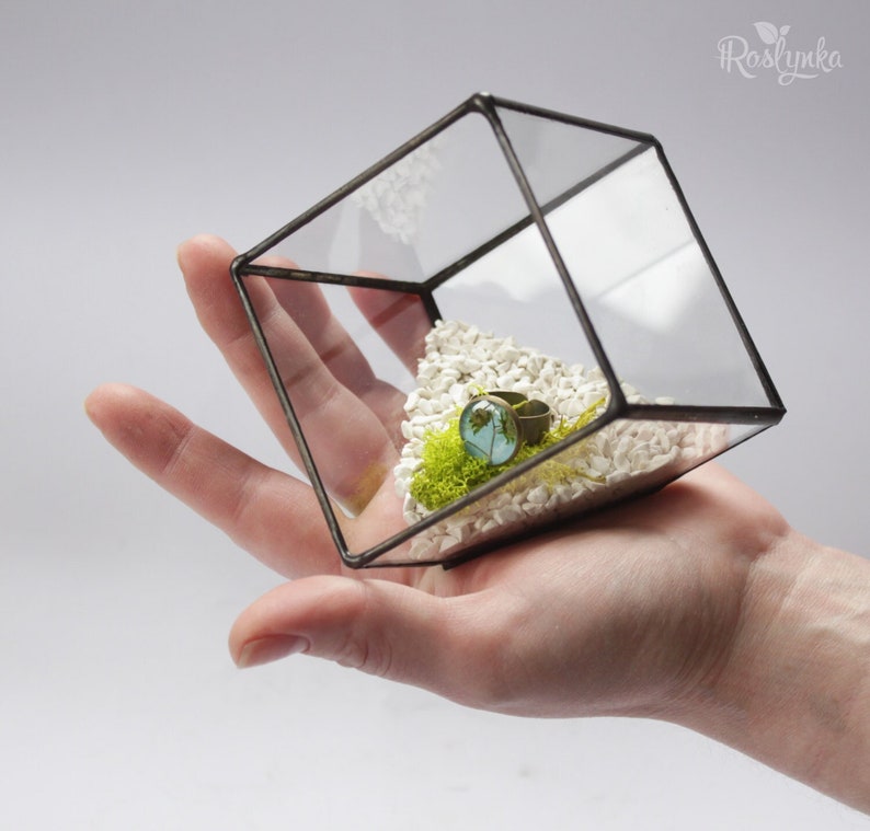 Succulent glass planter pot, Cube terrarium, Geometrical air plant container, Stained glass ring display box, Glass flower vase image 1