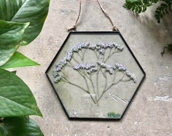 Dried wildflower in stained glass frame, Pressed plant wall hanging, Hexagon floating panel, window suncatcher, mother's day gift