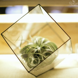 Cube glass terrarium, Geometric planter pot, Stained glass terrarium, Moss terrarium container image 5