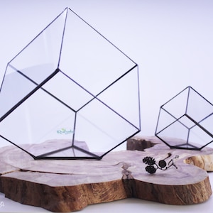 Succulent glass planter pot, Cube terrarium, Geometrical air plant container, Stained glass ring display box, Glass flower vase image 5