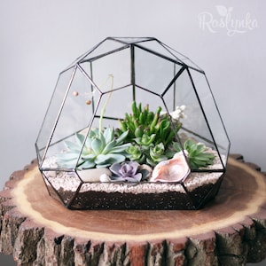Lowpoly florarium for succulents. Stained glass terrarium planter pot. Containers for tiny plants. Wedding table centerpiece flower pot box