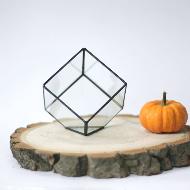 Succulent glass planter pot, Cube terrarium, Geometrical air plant container, Stained glass ring display box, Glass flower vase image 8