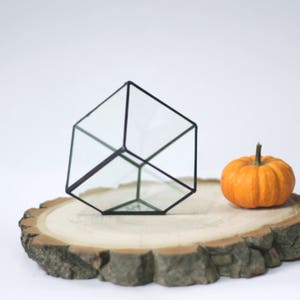 Succulent glass planter pot, Cube terrarium, Geometrical air plant container, Stained glass ring display box, Glass flower vase image 7