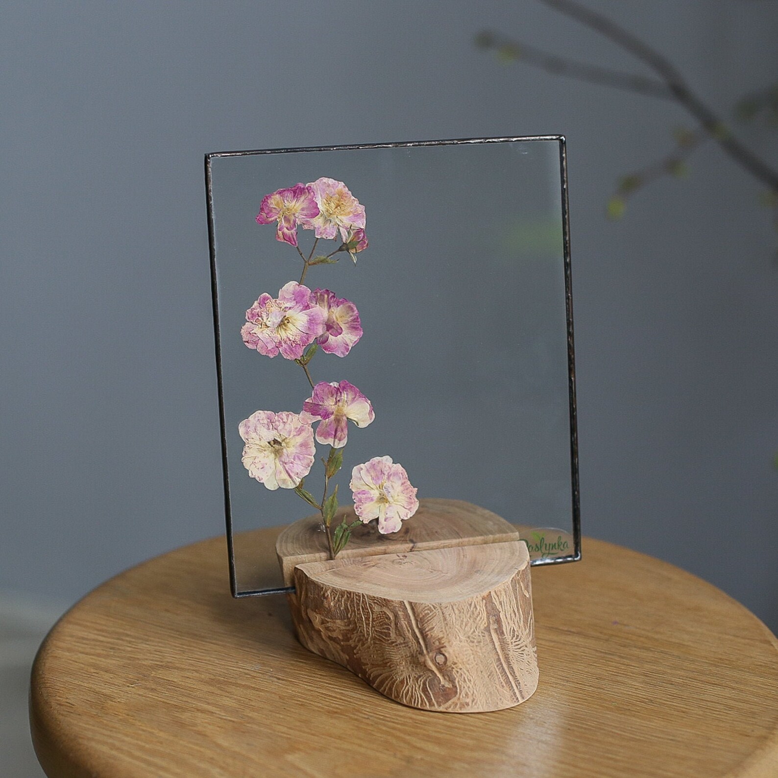 Botanical floating frame glass & wood summer decor framed Etsy