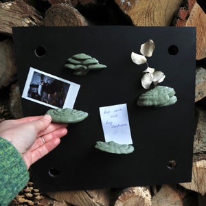 Pode incluir: Um quadro magnético preto com quatro ímãs em forma de cogumelo verde, uma nota escrita à mão que diz "keep calm and buy mushrooms", e uma fotografia Polaroid.