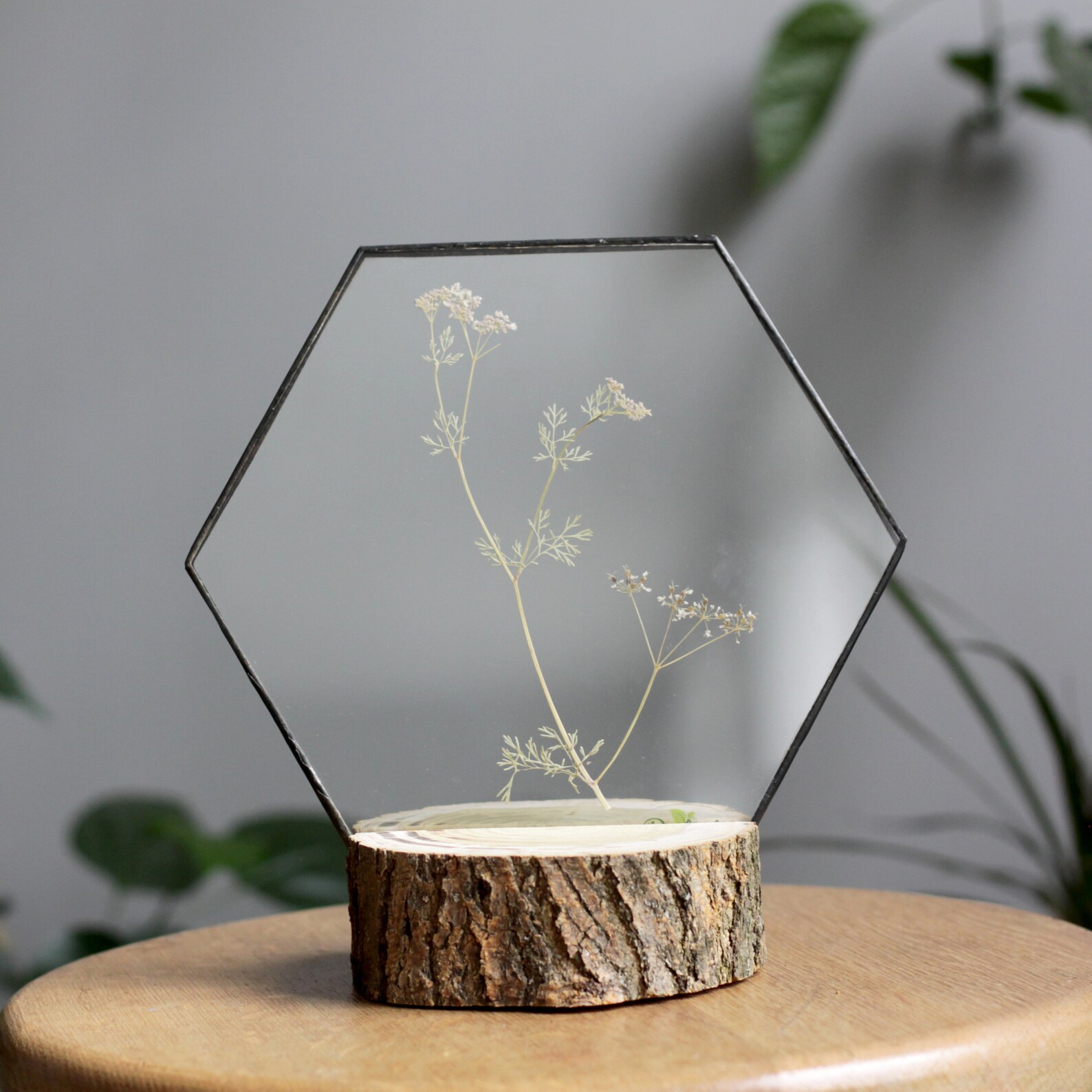 Gerahmte gepresste Pflanzen Glas und Holz Wohndekor floraler | Etsy