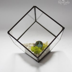 Succulent glass planter pot, Cube terrarium, Geometrical air plant container, Stained glass ring display box, Glass flower vase image 4