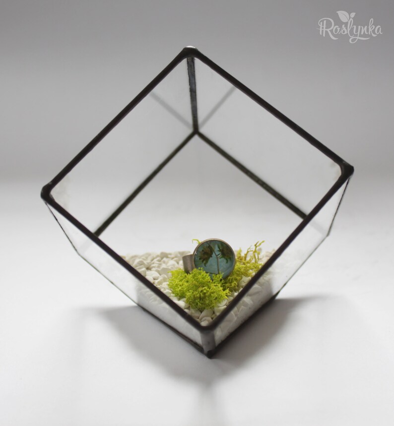 Succulent glass planter pot, Cube terrarium, Geometrical air plant container, Stained glass ring display box, Glass flower vase image 4