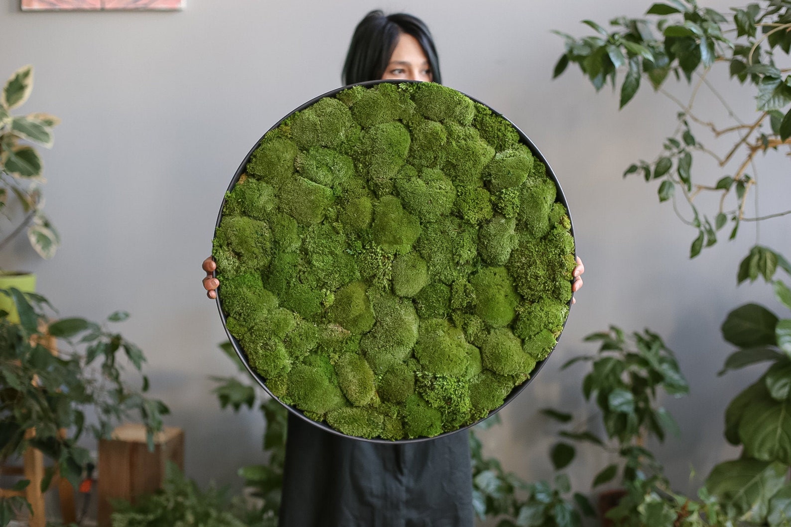Moss round wall art greenery home decor natural living plant Etsy