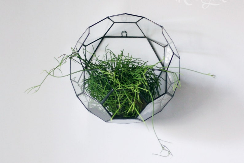 Geometric Ball Air Plant Terrarium Stained Glass Wall Hanging Etsy