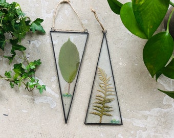 Set of 2, Pressed plants in stained glass frame, dried leaves wall hanging, triangular floating frame, framed botanical window art