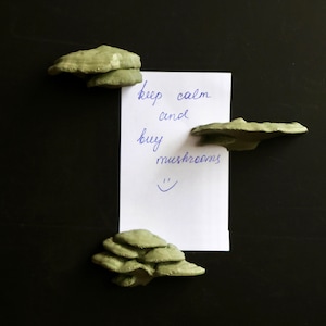 3D-bestand paddestoelen, zwevende planken met magneet, natuurlijk 3D-beeldhouwwerk