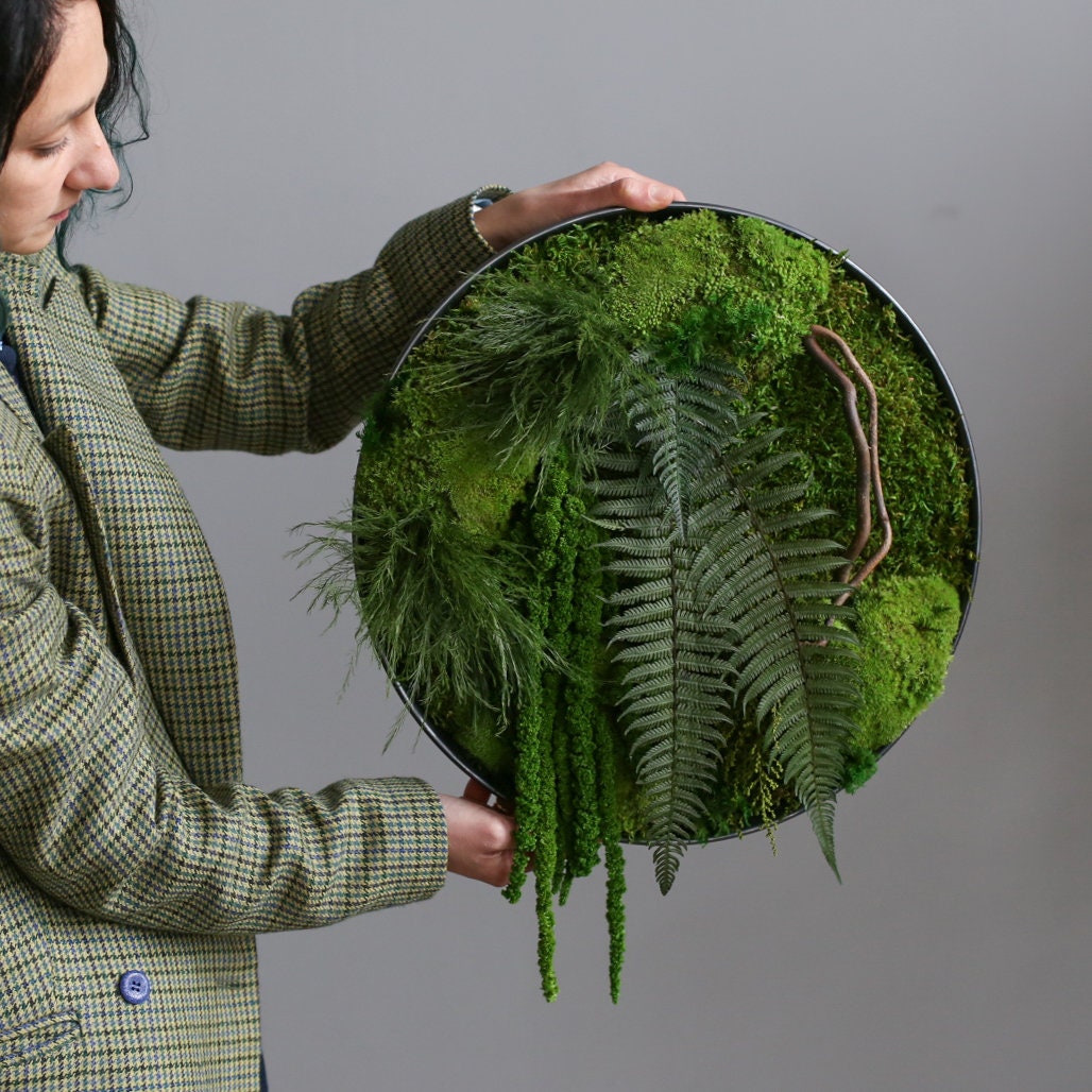 Preserved Moss & Fern wall art greenery home decor indoor Etsy