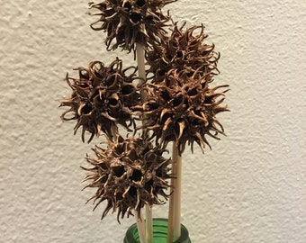 Home  Decor  Prickly Ball Flowers Floral Supplies 12”