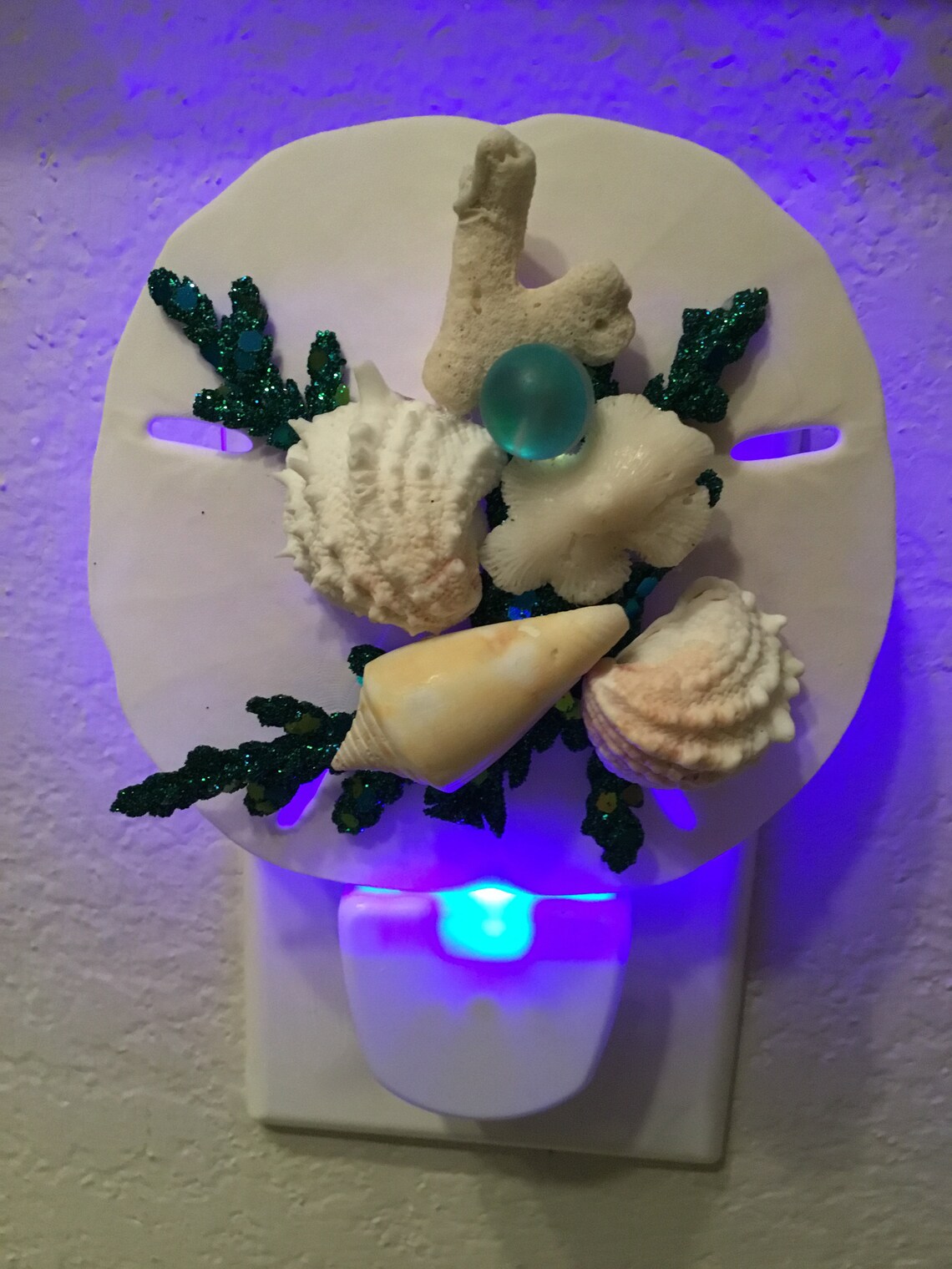 Seashell NIGHT LIGHT SE Beach House Coastal Decor Nautical Etsy