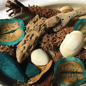 Driftwood and seashell potpourri tropical coconut scent