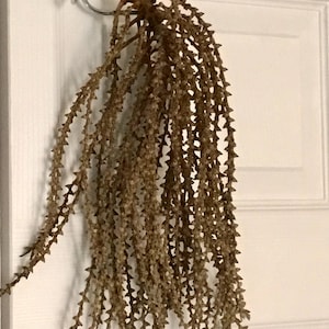 60pc Palm Dried Basket weaving materials 12in (C)