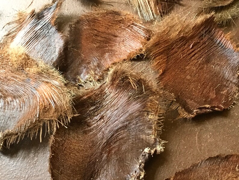 Basket Weaving Palm Tree Fiber Palm Tree Bark Palm Husk Etsy