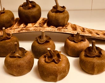 15 Dried  Pumpkins Tiny Primitive