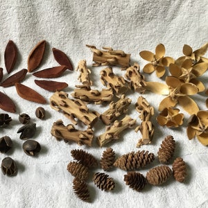 Coconut Petals Decorative Potpourri Seed Pod Coconut Petals Decorative Potpourri Seed Pod