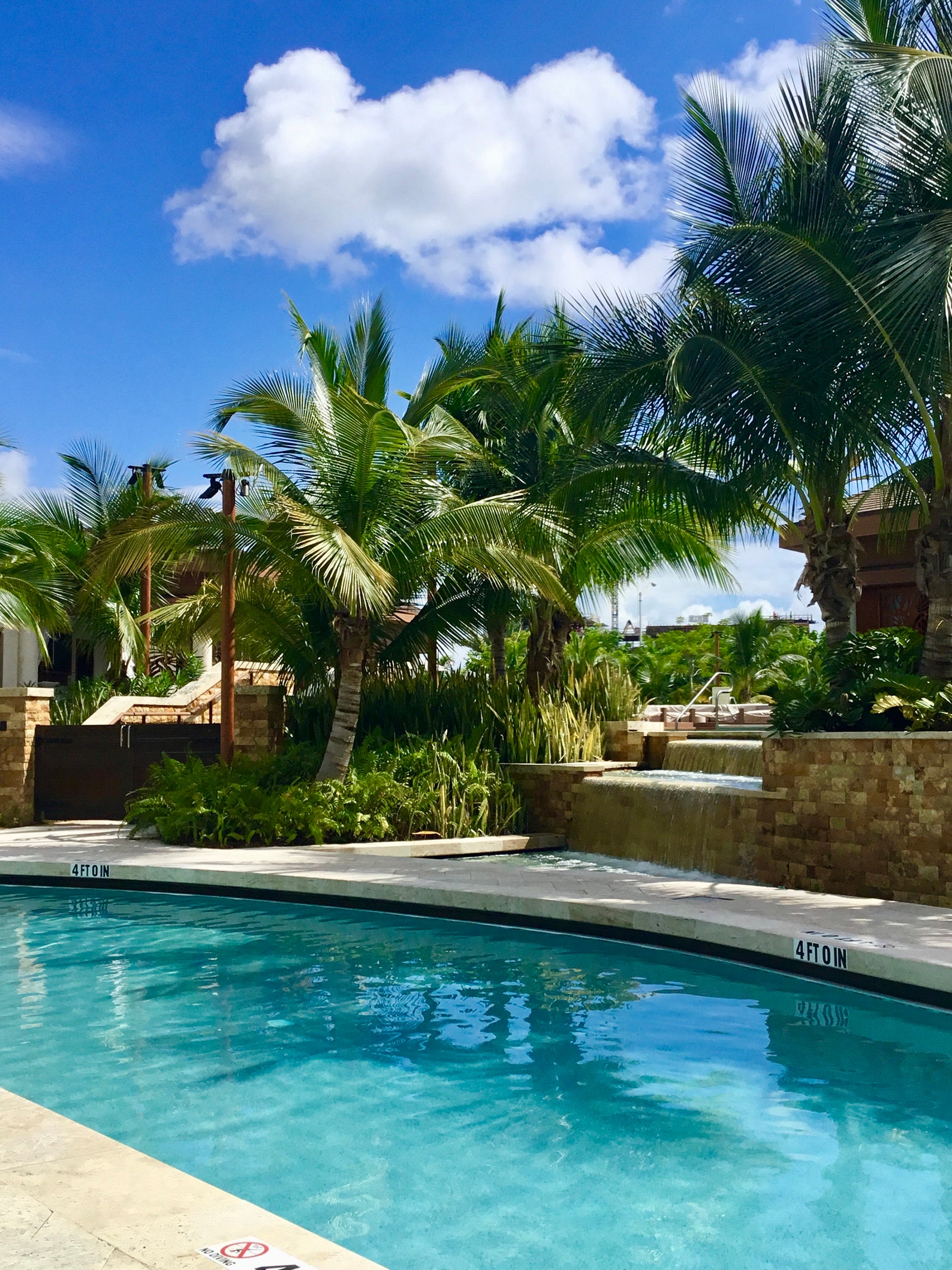 25 Dried Coconut Flowers Rustic Decor Tropical Floral Crafts Etsy