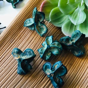 May include: Five dried, teal-colored botanical seed pods with a three-lobed, flower-like shape are arranged alongside a light green succulent plant. The seed pods feature a textured, woody surface with subtle brown undertones and a matte finish.