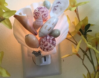 Shell  Night Light (Z)  White Scallop Sea Turtle Oyster Olive Shell