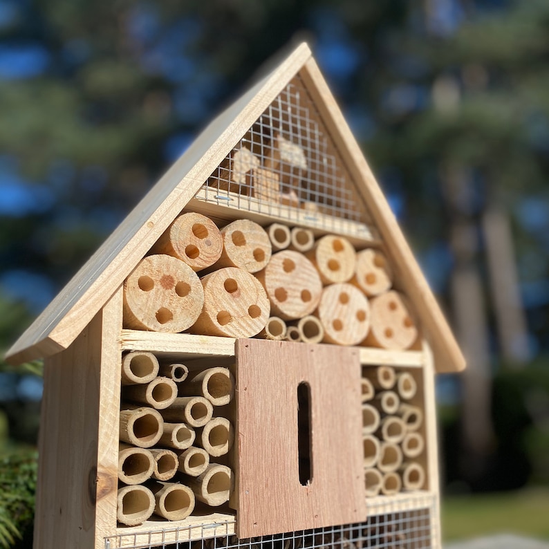 Wooden Insect, Bug & Bee House image 4