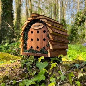 Wooden Hanging Butterfly & Ladybird House Gift Set image 9