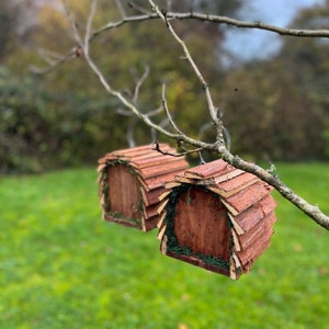 Wooden Hanging Butterfly & Ladybird House Gift Set image 3