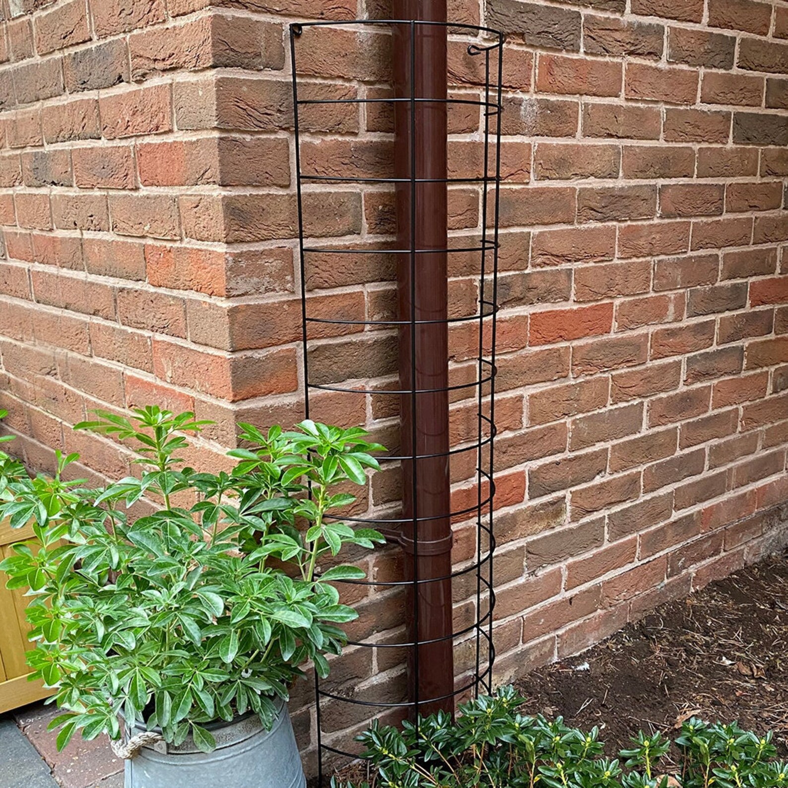Metal Semi Circular Tube Trellis for Drainpipes set of 2 Etsy