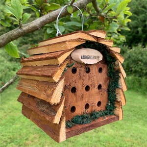 Wooden Hanging Butterfly & Ladybird House Gift Set image 8