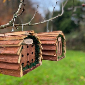 Wooden Hanging Butterfly & Ladybird House Gift Set image 4