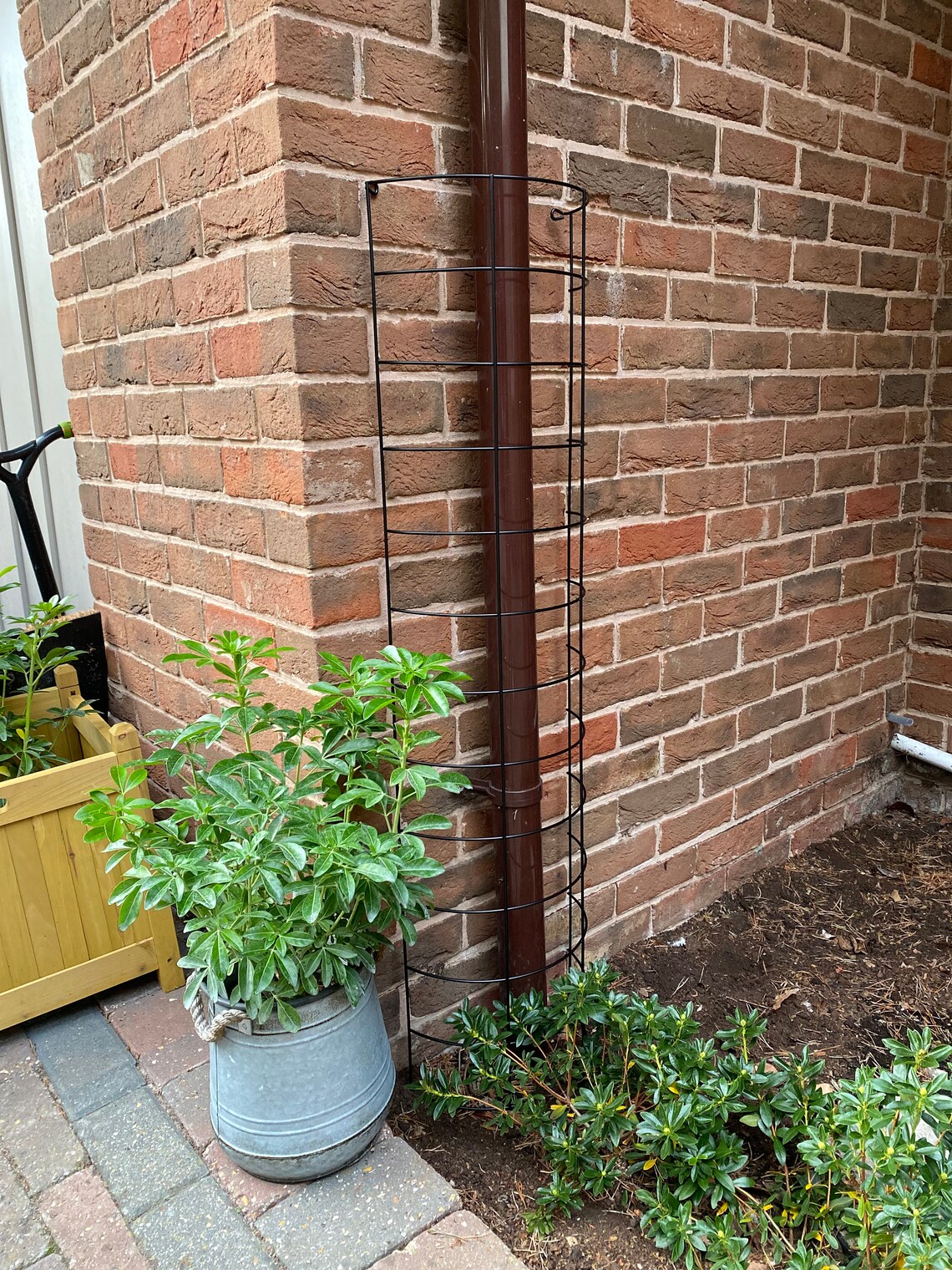 Metal Semi Circular Tube Trellis for Drainpipes set of 2 Etsy